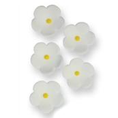 Fleurs en sucre blanches x30