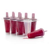 Moule glaces maison x8